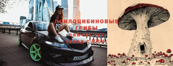 молекула духа Покачи