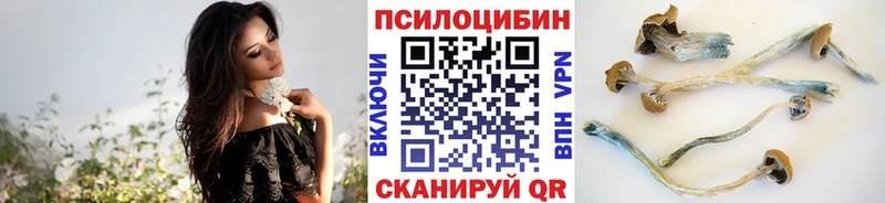 Псилоцибиновые грибы Psilocybe  Чёрмоз 